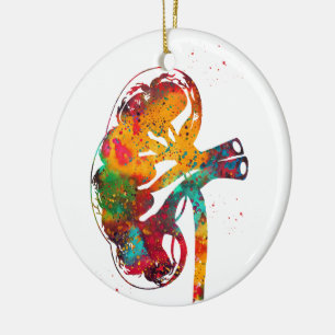 Nierenabschnitt Keramik Ornament