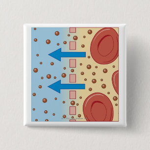 Nierendialyse Button