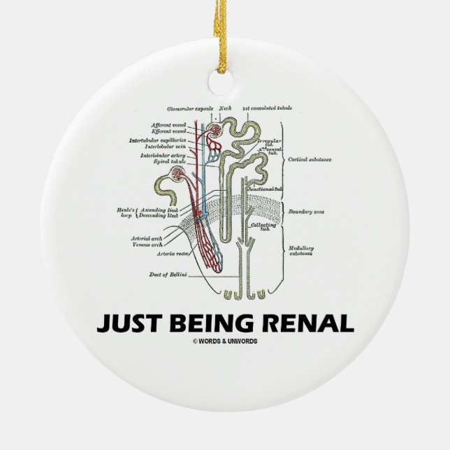 Nierenfunktion (Niere Nephron Nieren-Spaß) Keramikornament (Hinten)