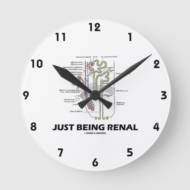 Nierenfunktion (Niere Nephron Nieren-Spaß) Runde Wanduhr (Vorderseite)
