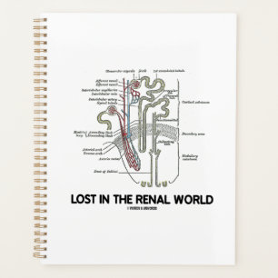 Nierenfunktions-Nephron Planer