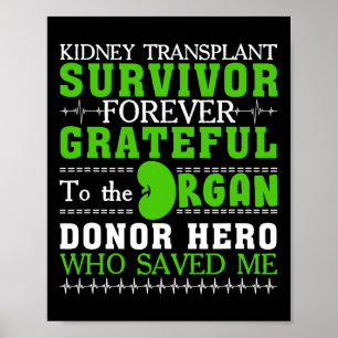 Nierentransplantation Organtransplantation Niere S Poster