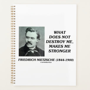 Nietzsche, was mich nicht zerstört, macht mich stä planer
