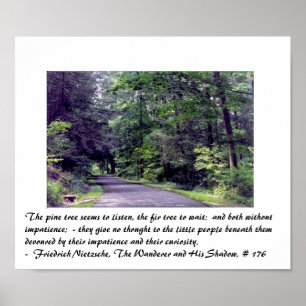 Nietzsches Wald - Plakat