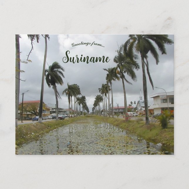 Nieuw Nickerie Suriname Postcard Postkarte (Vorderseite)