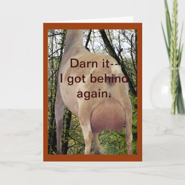 Nigerian Doe Belated Birthday Card oder bei jedem  Karte (Vorderseite)
