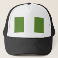 Nigerian Flag