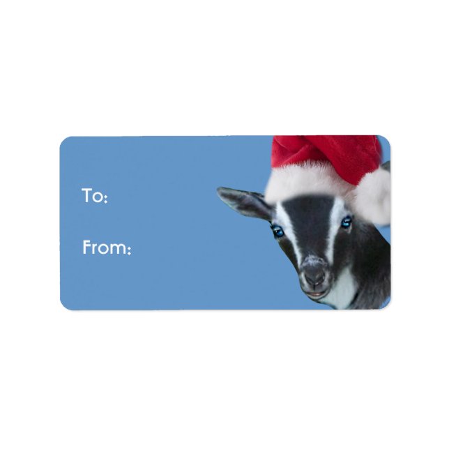 Nigerias Zwarf Goat Santa Goat Weihnachtsgeschenk  Adressaufkleber (Vorne)