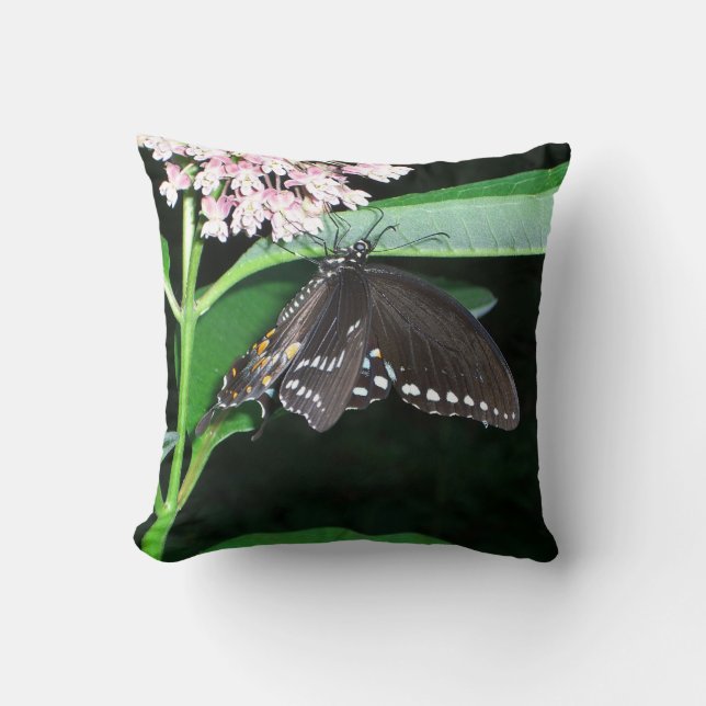 Night Butterfly Black Frack in Shenandoah Kissen (Vorderseite)