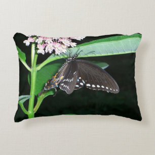 Night Butterfly Black Frack in Shenandoah Zierkissen