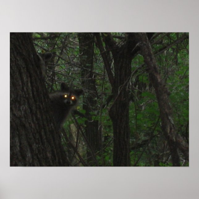 Night Eyes Poster (Vorne)