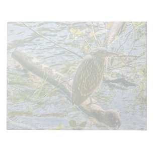 Night Heron jv Notizblock