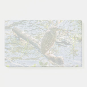 Night Heron jv Post-it Klebezettel