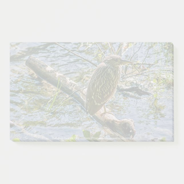 Night Heron jv Post-it Klebezettel (Vorderseite)