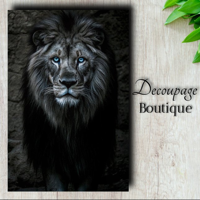 Night King Seidenpapier (Night King Decoupage Tissue Paper)