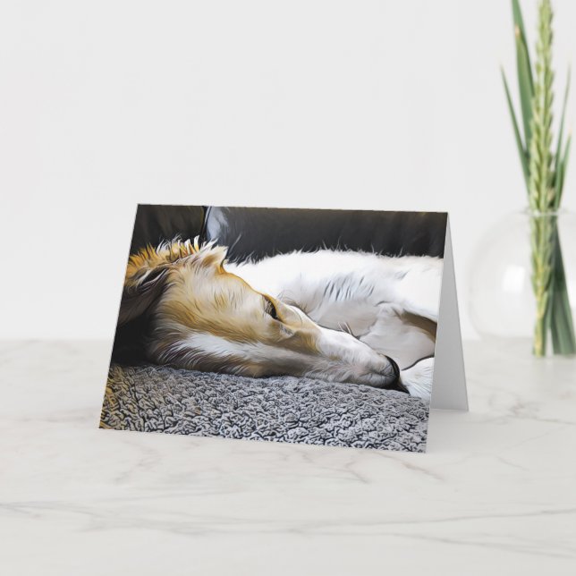 Night Night Borzoi Ankündigung (Vorderseite)