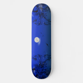 Night Skateboard
