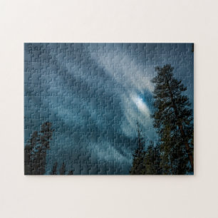Night Sky & Forest in Moon Light