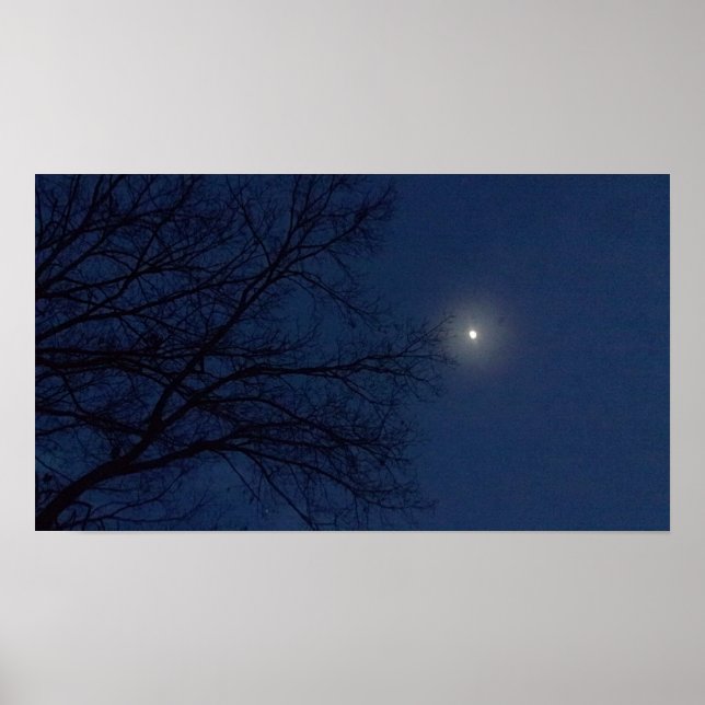 Night Sky Print Poster (Vorne)
