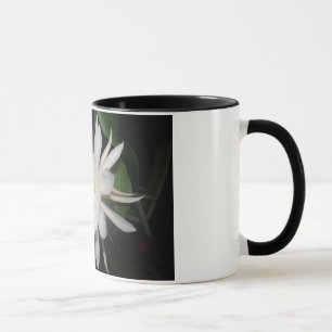 Nightblooming Säulenkaktus Tasse