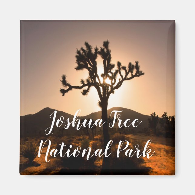 Nightfall begins at Joshua Tree Magnet (Vorne)