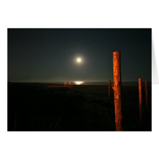 Nightguards--Plage la nuit