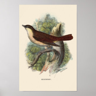 NIGHTINGALE DRUCKEN POSTER