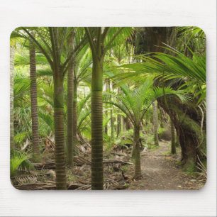 Nikau-Palmen, Heaphy Track, bei Karamea, Mousepad