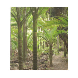 Nikau-Palmen, Heaphy Track, bei Karamea, Notizblock