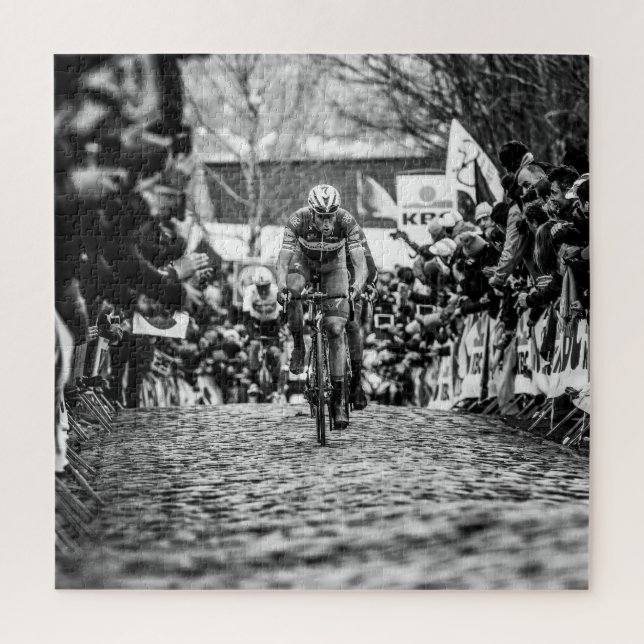 Niki auf Kwaremont - RVV2018 (Vertikal)