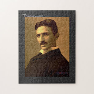 Nikola Tesla (369)
