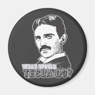 Nikola Tesla Magnet