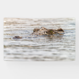 Nilkrokodil Banner