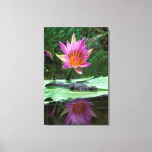 Nilkrokodil (Crocodylus Niloticus) Hatchling Leinwanddruck