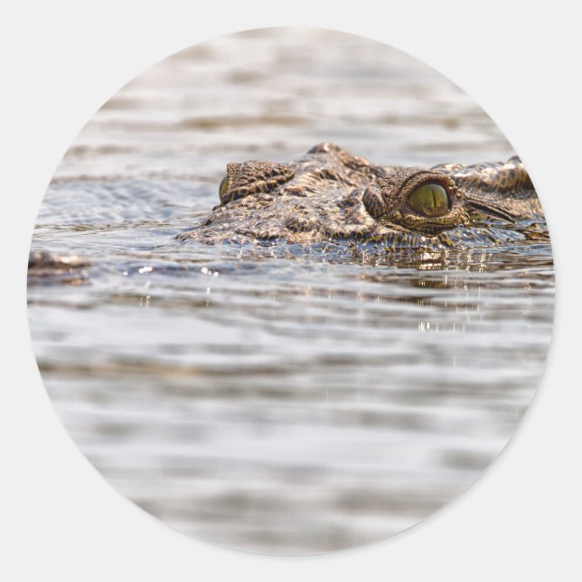 Nilkrokodil Runder Aufkleber (Vorderseite)