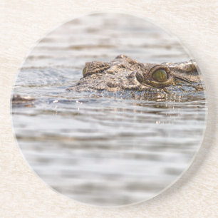 Nilkrokodil Sandstein Untersetzer