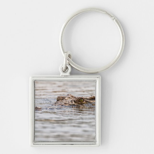 Nilkrokodil Schlüsselanhänger (Vorne)