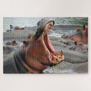 Nilpferd