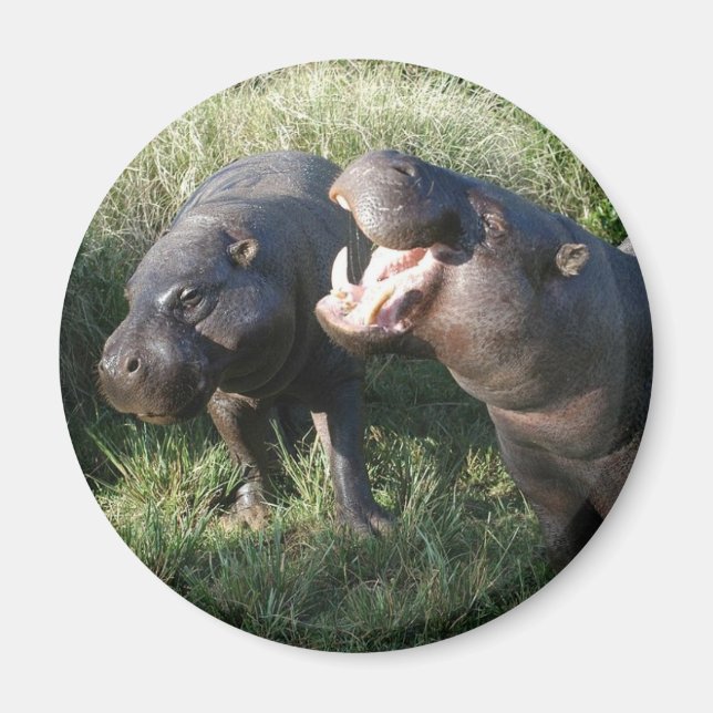 Nilpferd Magnet (Vorne)