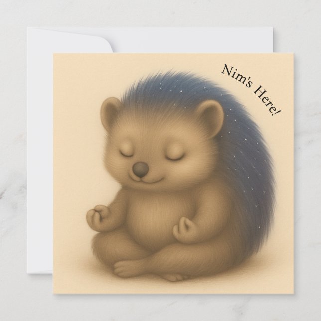 Nim vermittelt individuell anpassbare Comfort-Kart (Vorderseite)