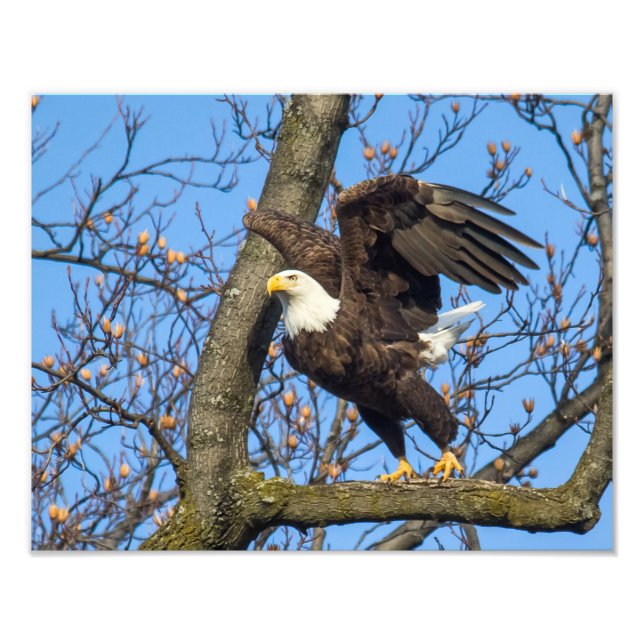 Nimm den Sprung! Fotodruck (Vorne)