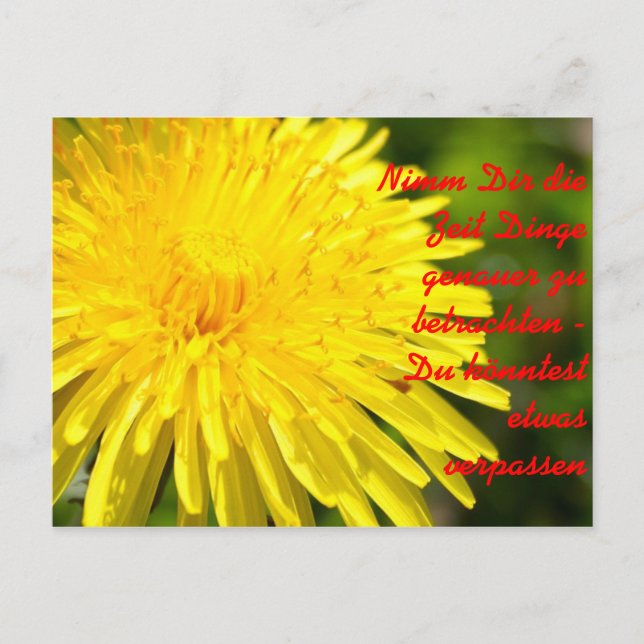Nimm Dir die Zeit zu b.. Postkarte (Vorderseite)