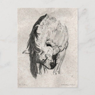 Nimm eine Bow von Mary Gubisch. Postkarte