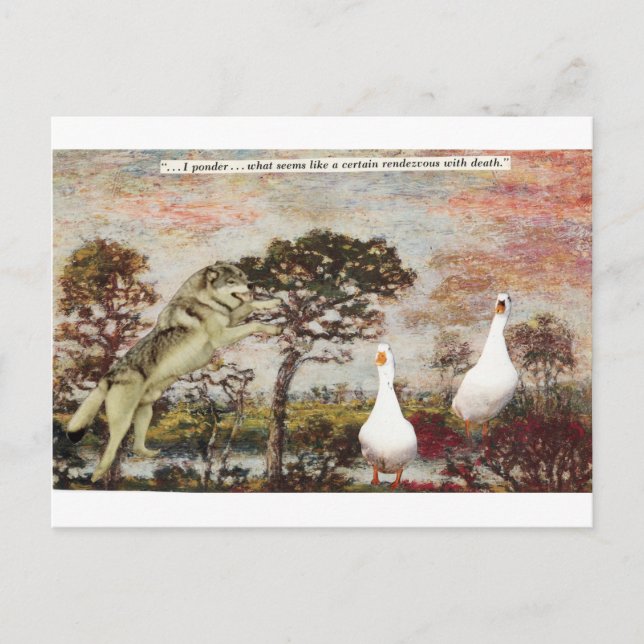 Nimm eine Chance! - Postkarte (Vorderseite)