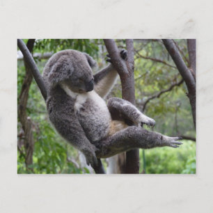 Nimm es leicht! postkarte