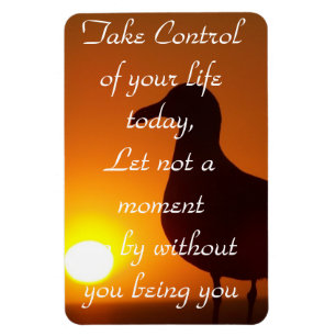 Nimm Kontrolle!_ Magnet