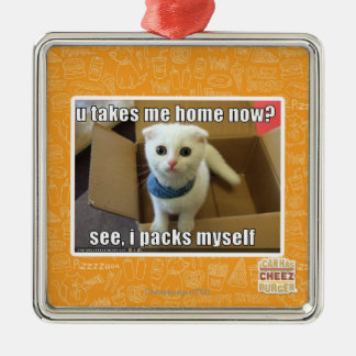 Nimm mir jetzt Zuhause? Silbernes Ornament