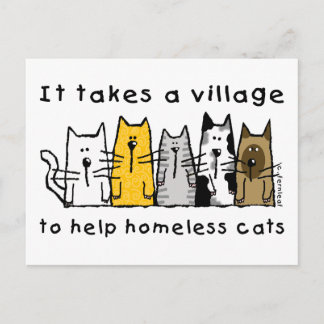 Nimmt ein Dorf Hilfe Obdachlose Katzen Postkarte