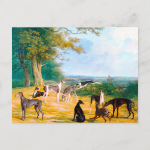 Nine Greyhounds in einer Landschaft von Jacques La Postkarte