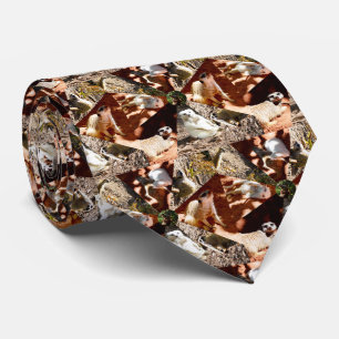 Nine Meerkat Dreiecke, Neck Tie Krawatte